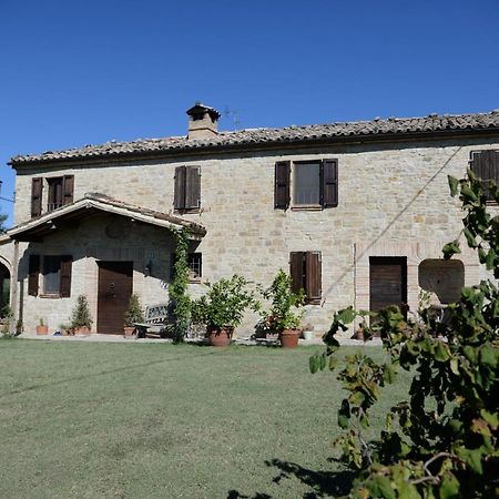Cascinale La Mimosa Bed & Breakfast Cupramontana Exterior photo