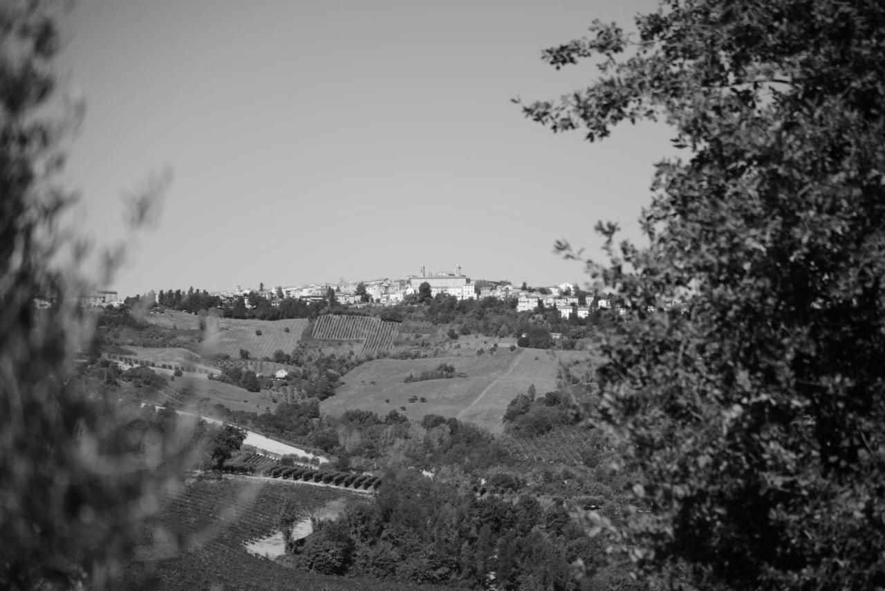 Cascinale La Mimosa Bed & Breakfast Cupramontana Exterior photo