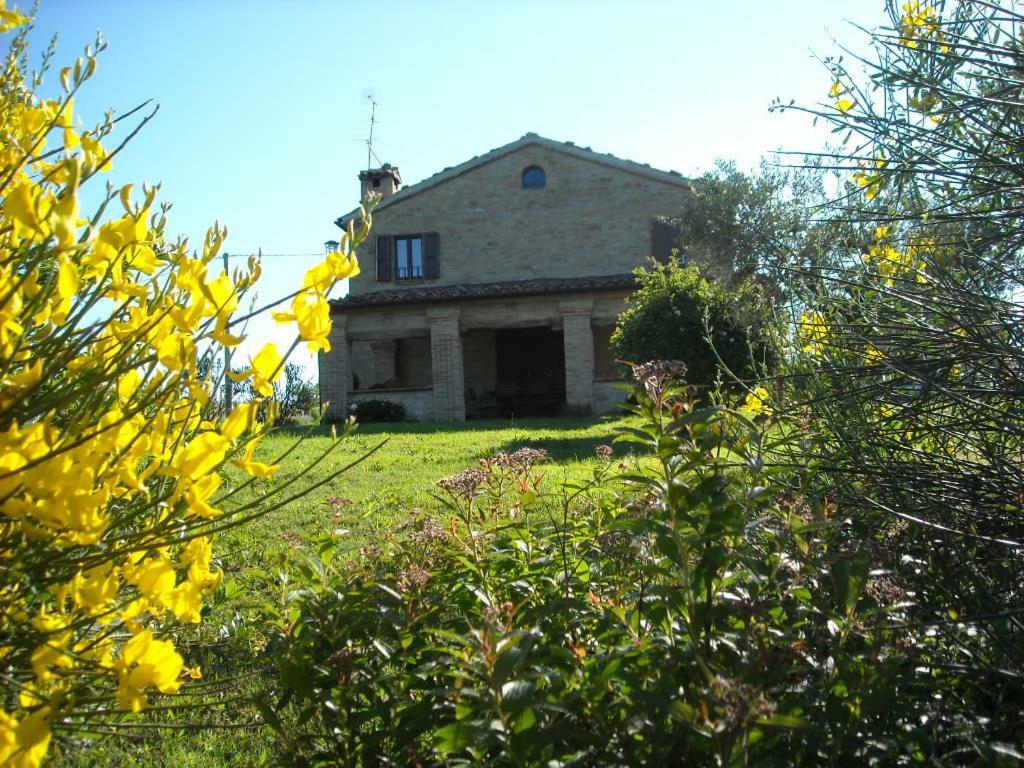 Cascinale La Mimosa Bed & Breakfast Cupramontana Exterior photo